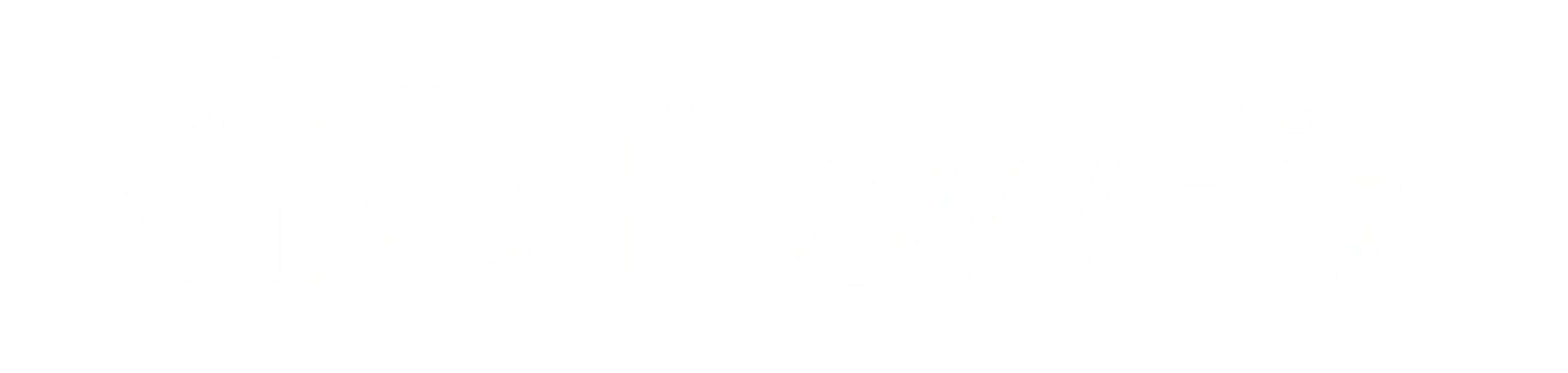 FlowFiz-Logo-White-scaled.webp